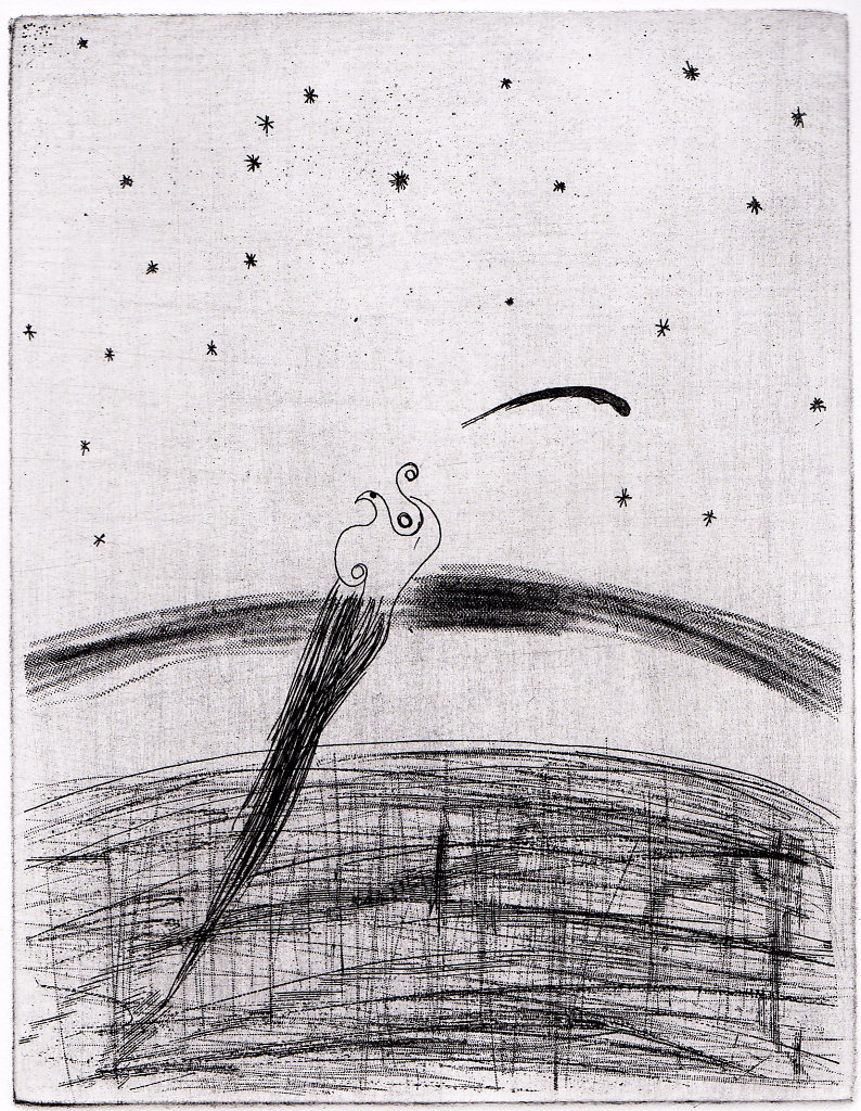 Bird1-1.jpg
