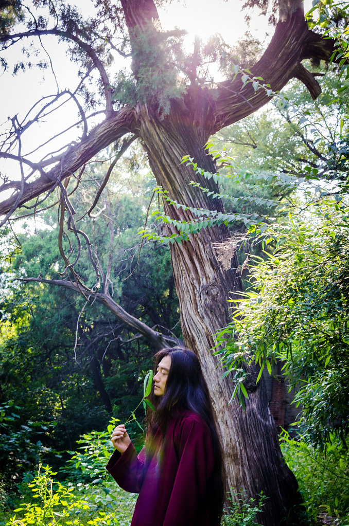 Zhaoliang for Vision