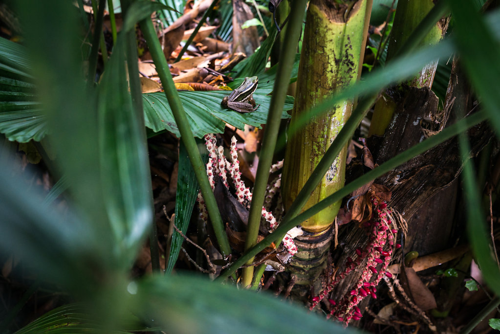 DSC-6360-lrd.jpg