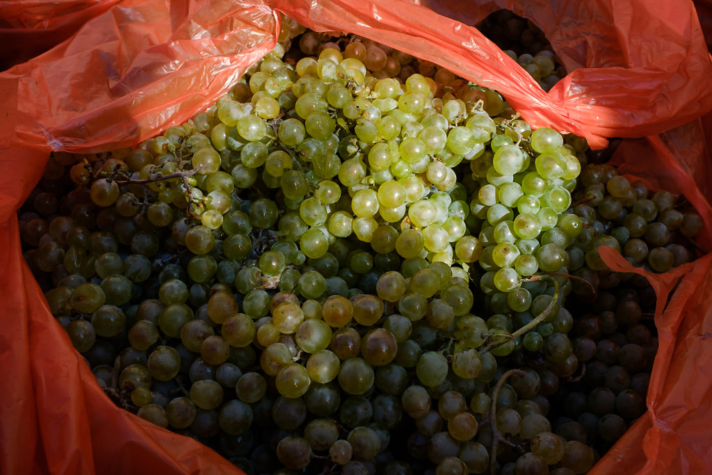 Parjiani's winery (Georgia))